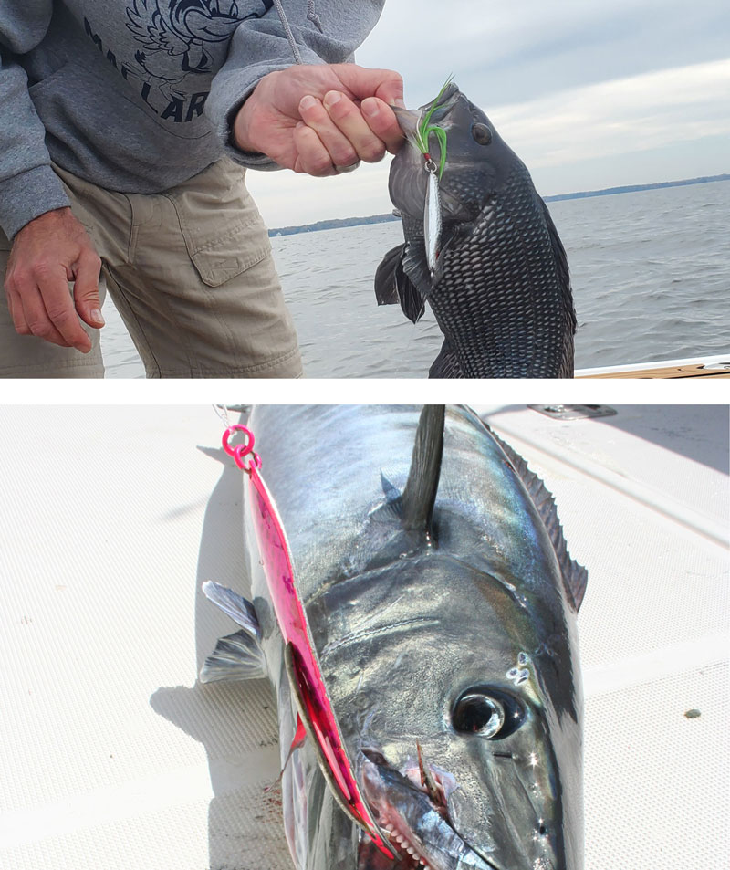 spoons used for fishing lures