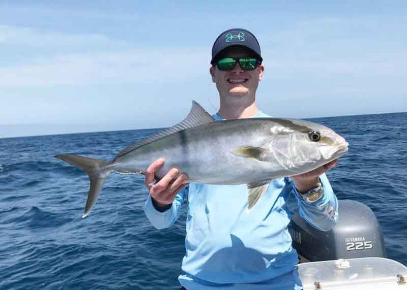 Amberjack were a part of the mix.