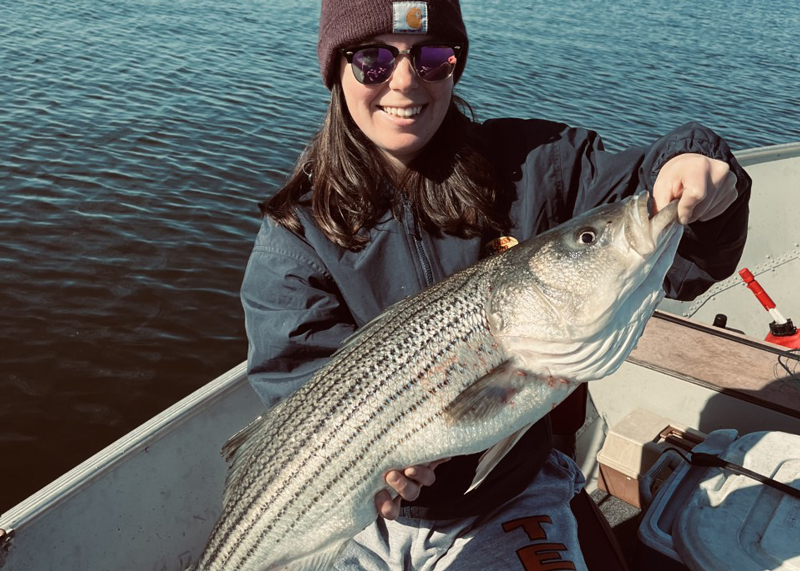 upper bay big rock fish