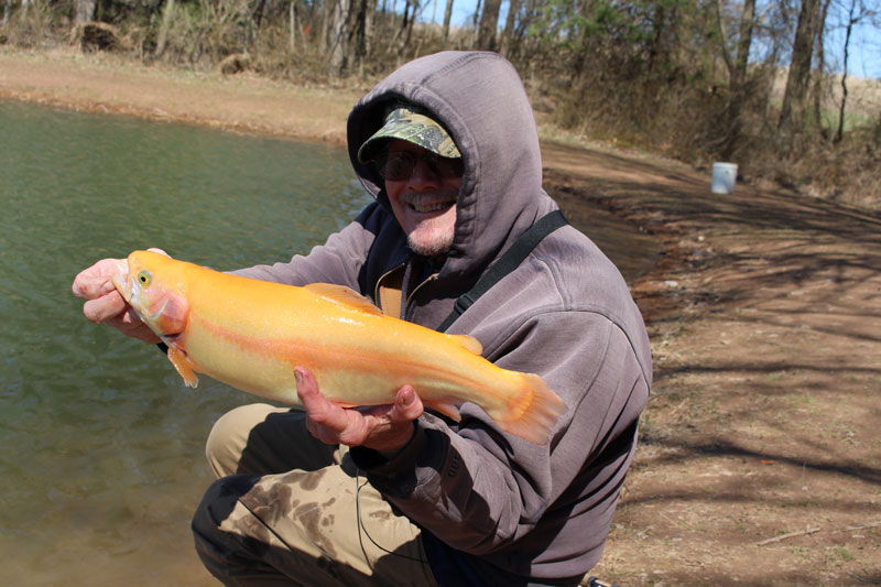 How to Catch Trout With the Float N Fly Technique