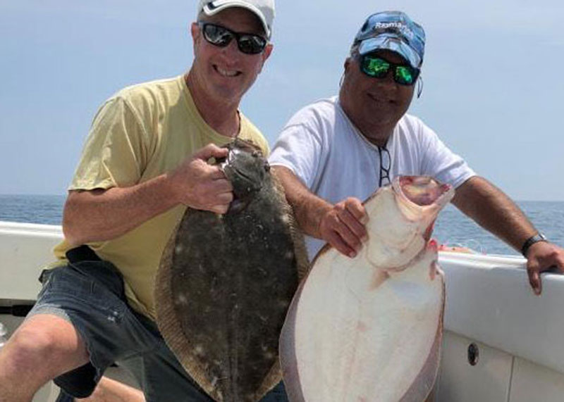 big flounder caught fluke fishing
