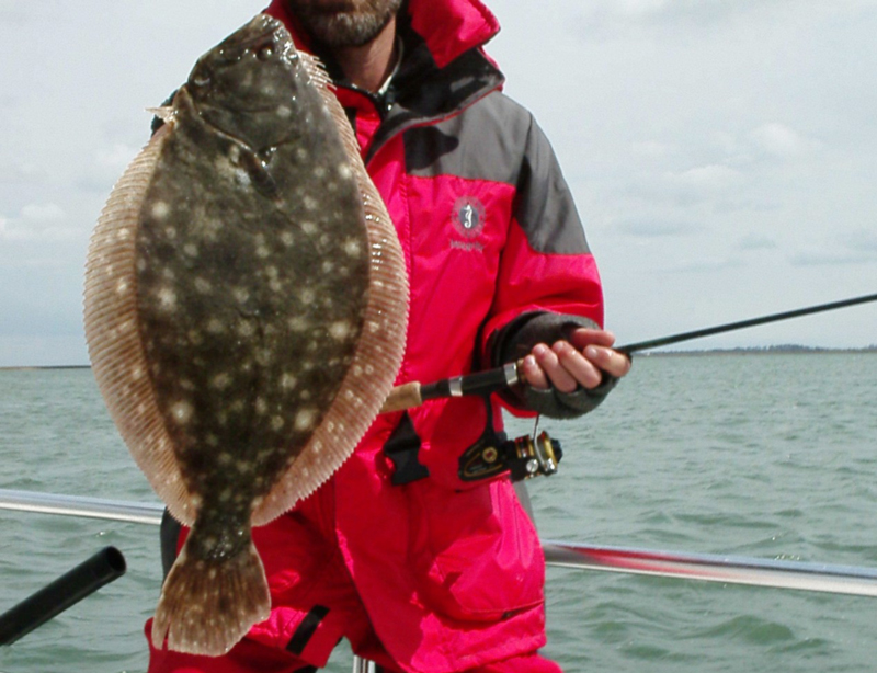 flounder fishing tournament