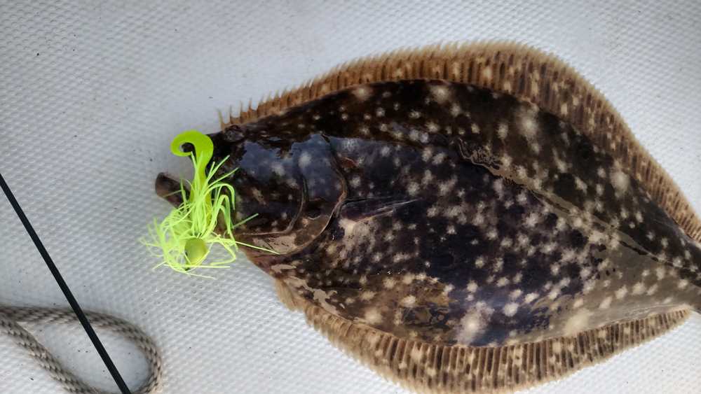 flounder fishing in virginia