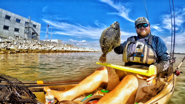 hrbt flounder