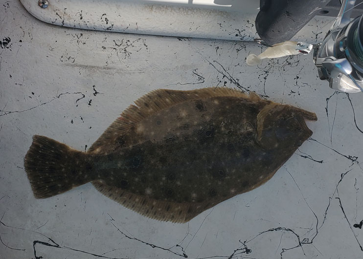 flounder on the boat