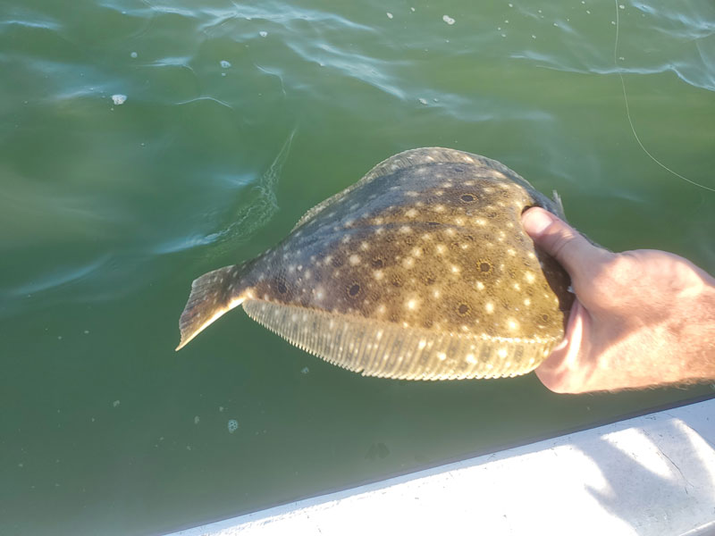 flounder fishing