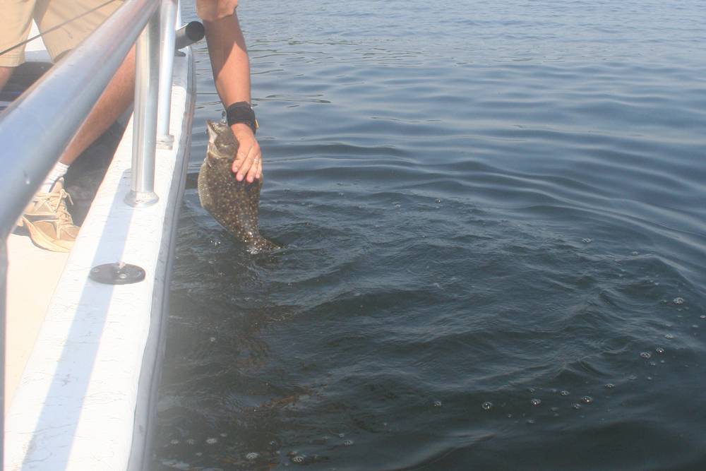 flounder fishing