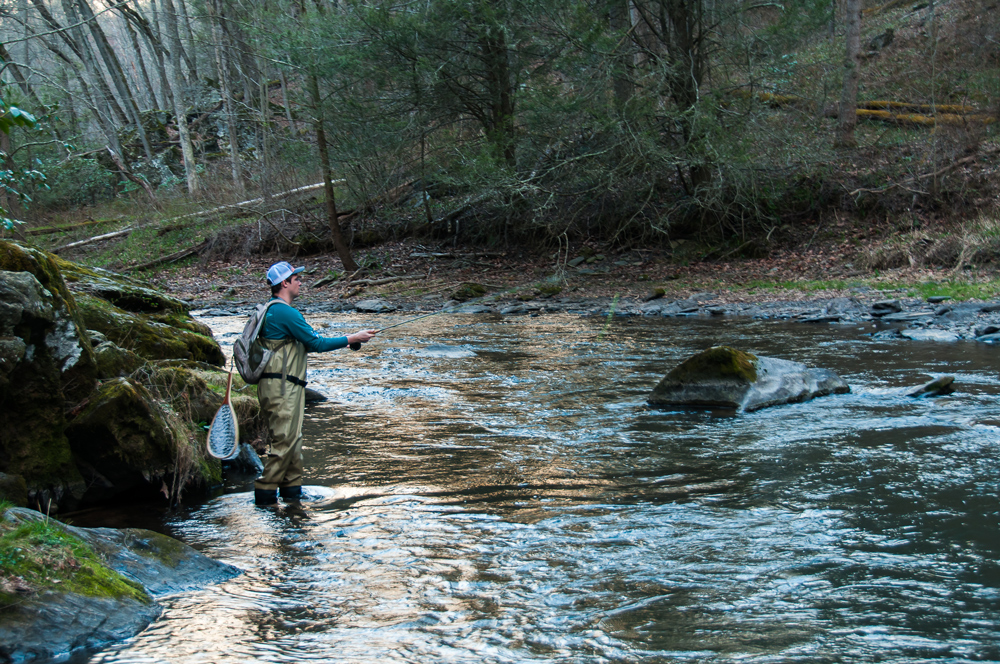 fly fishing for trout on the gunpowder river