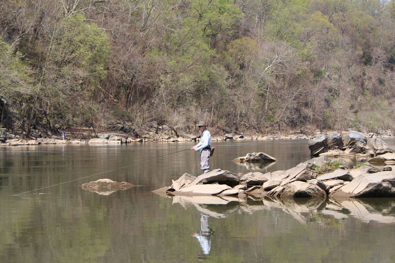 a fly fisherman casting in a peaceful river