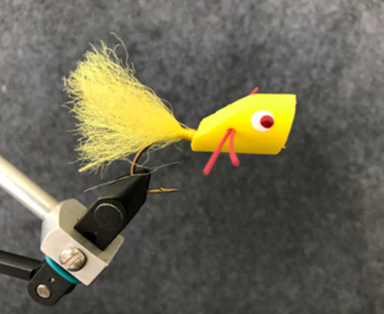 Bass Popper - Bass Fly, Smallmouth Bass Fly, a GREAT fly pattern! — Red's  Fly Shop