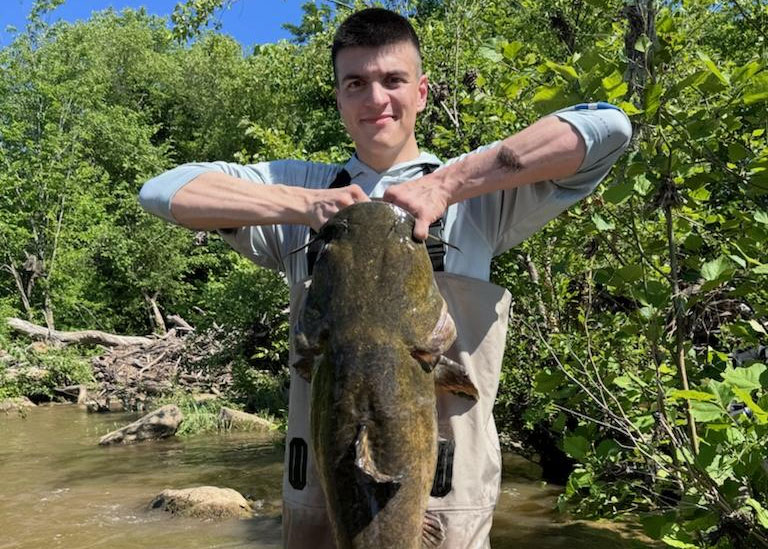 big potomac river catfish