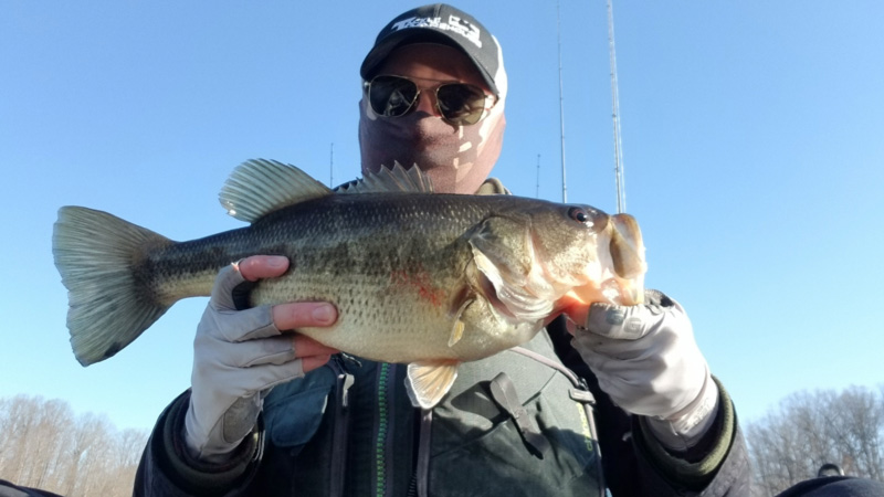 nice largemouth bass caught freshwater fishing
