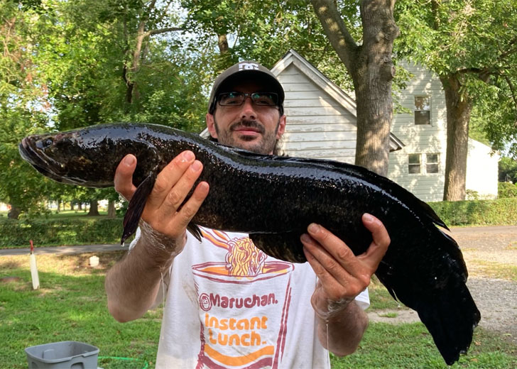 snakehead in maryland