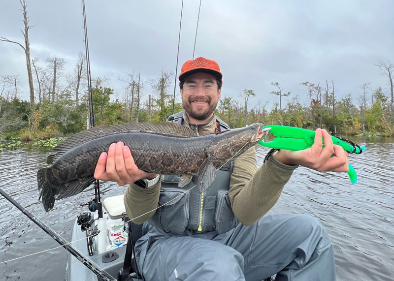 fall snakehead fishing