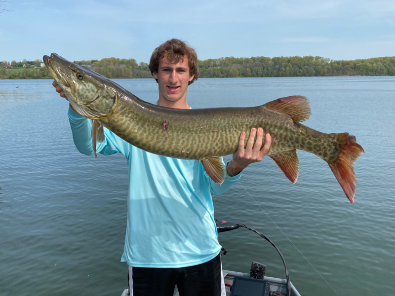 freshwater fishing huge musky