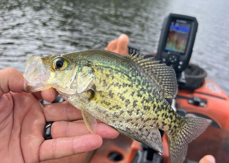 kayak fishing for crappie