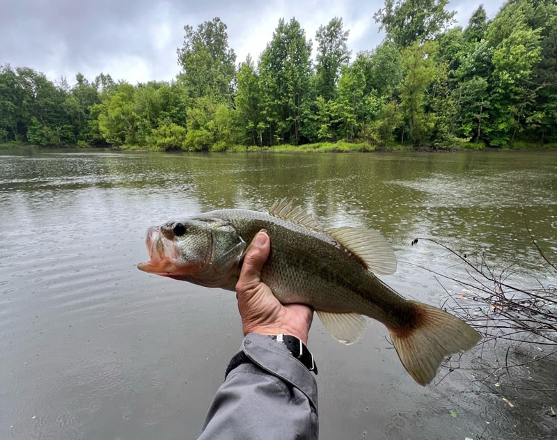 Freshwater Weekly Fishing Report Week of May 10, 2023, Sports