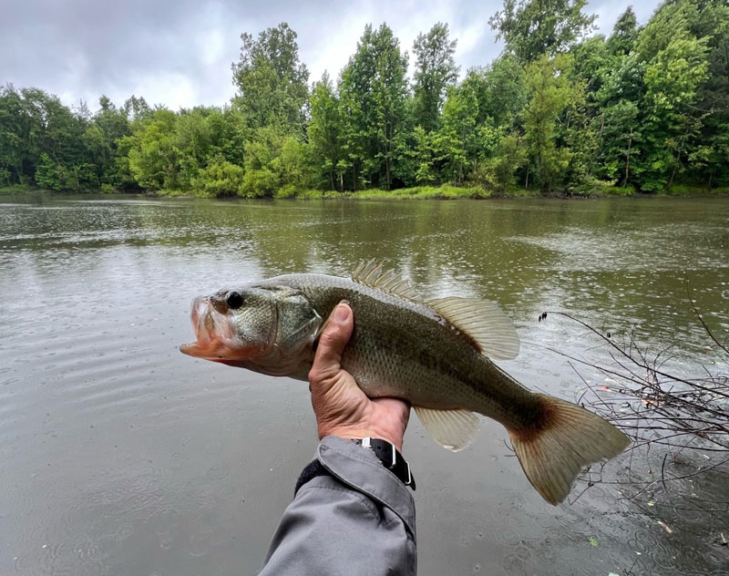 Freshwater Fishing Report, June 2023