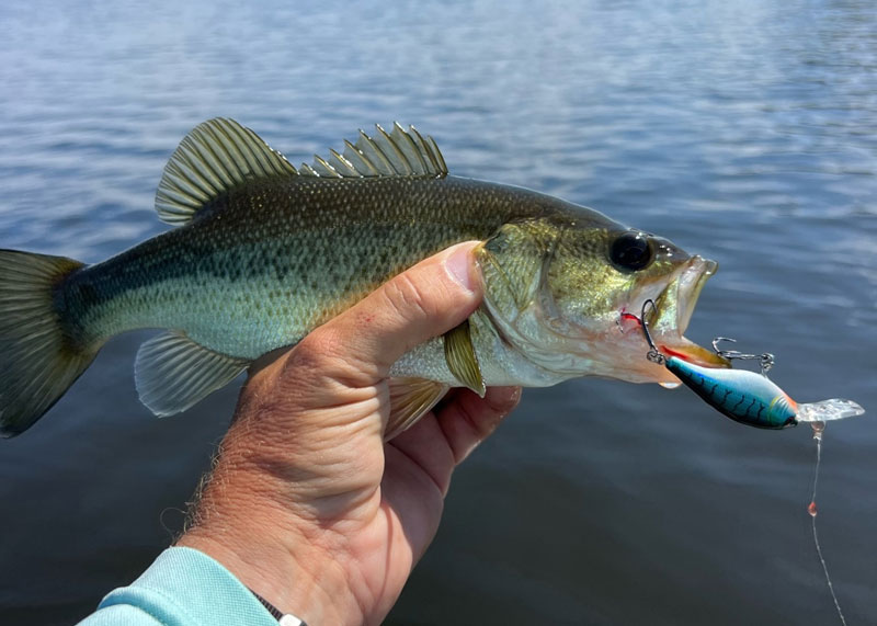 Freshwater Fishing Report, September 2023