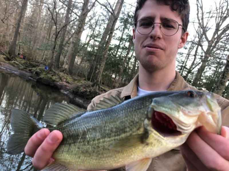 largemouth bass