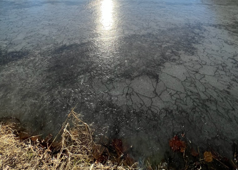 pond frozen up