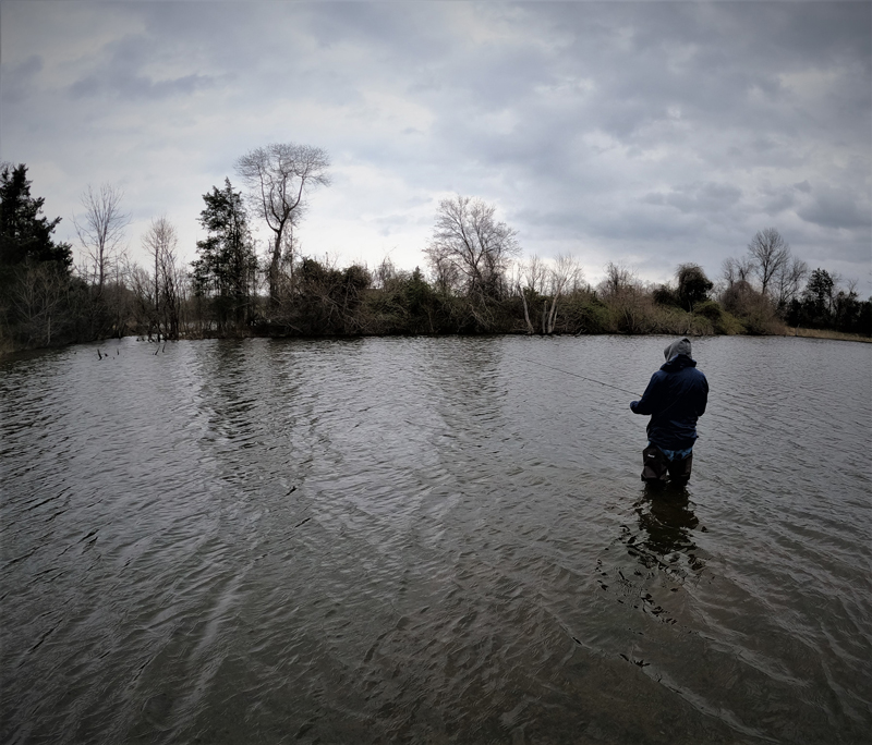 Does live sonar mean the end of fishing, or just the end of fishing as we  know it?