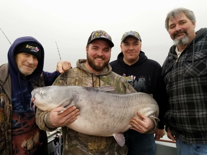 giant winter catfish caught by fishermen