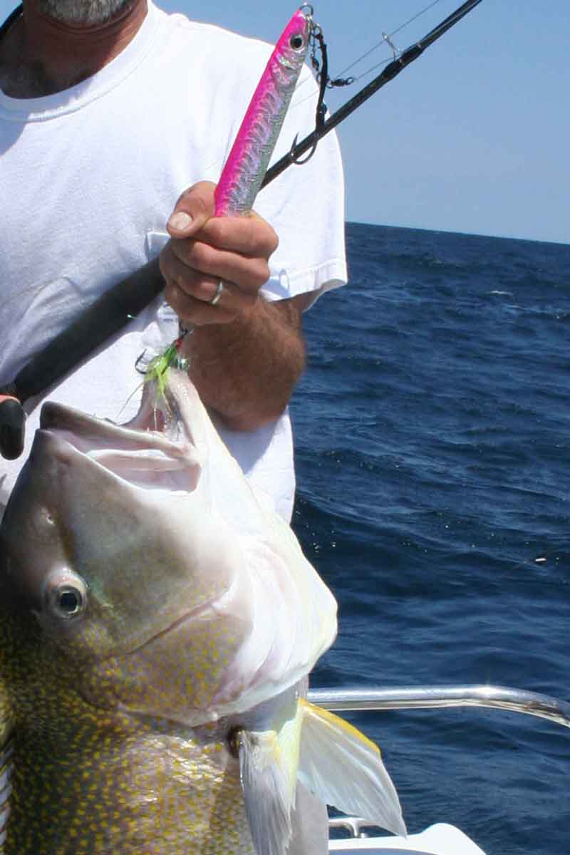 GOLDEN TILE FISHING - SLOW PITCH JIGGING - DEEP DROPPING 900FT+