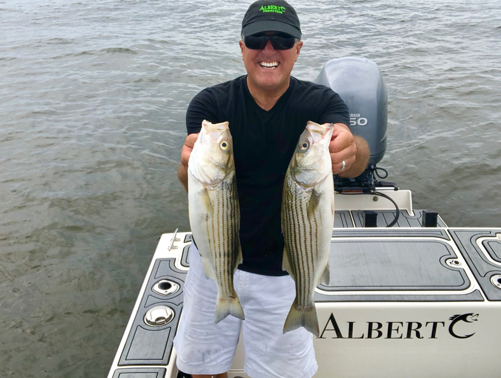 striped bass chumming