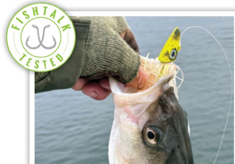 hard head baits jig head
