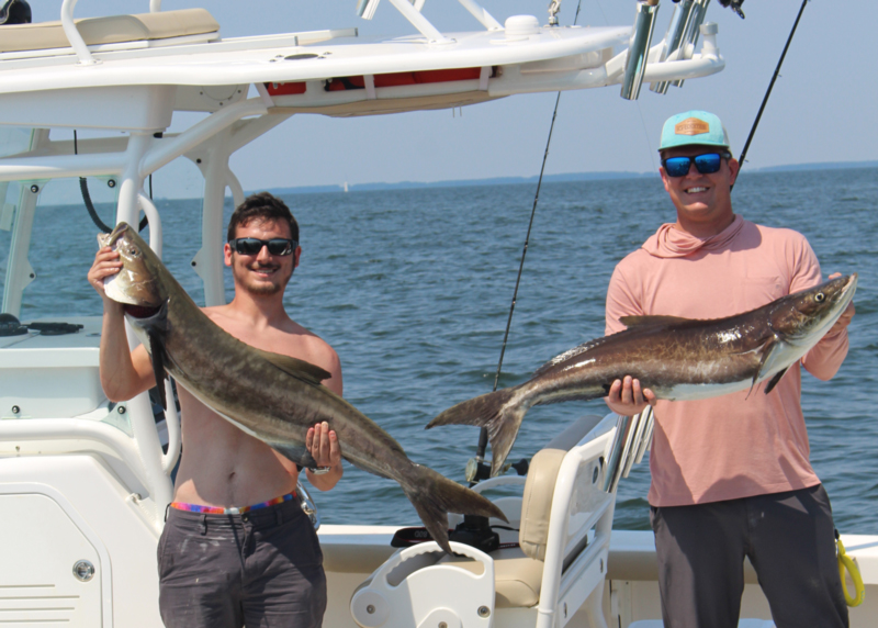 anglers with cobia