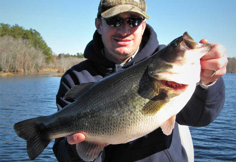 How to Catch Big Spring Bass Based on Water Temperature