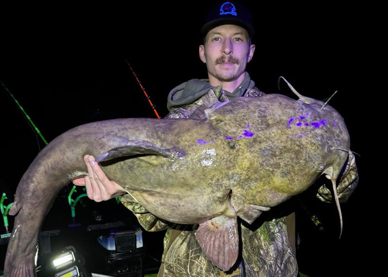 monster flathead cat fish