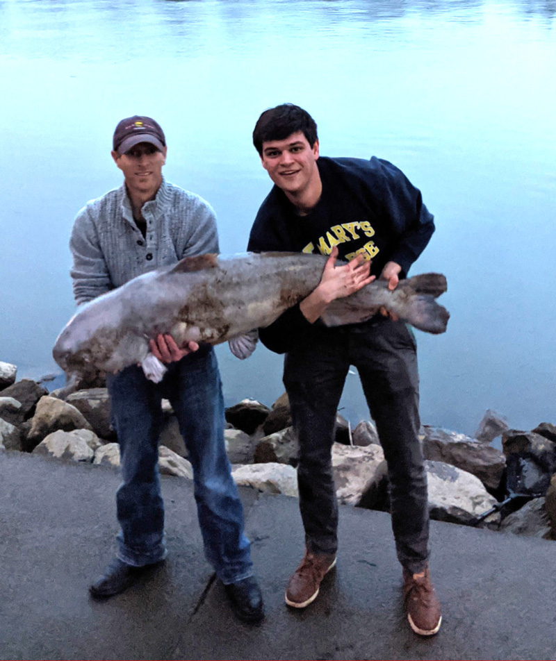 blue catfish caught from shore in potomac river