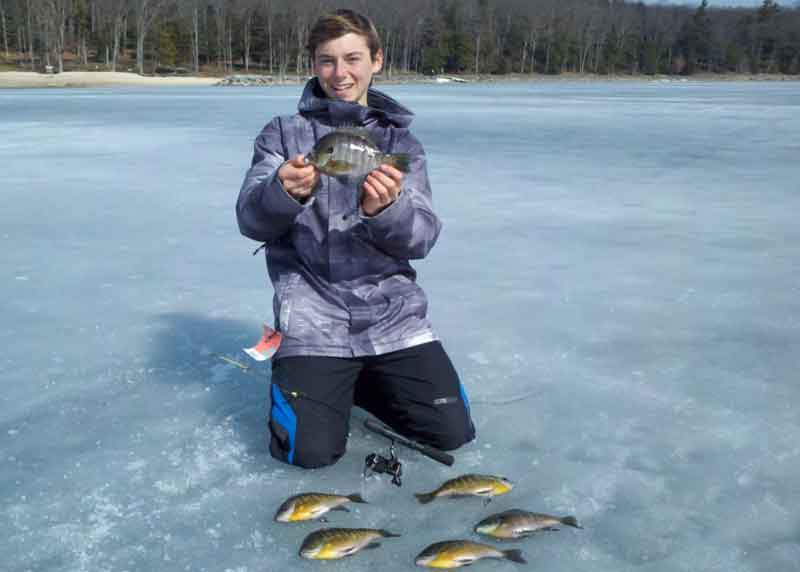 ice fishing for bluegills