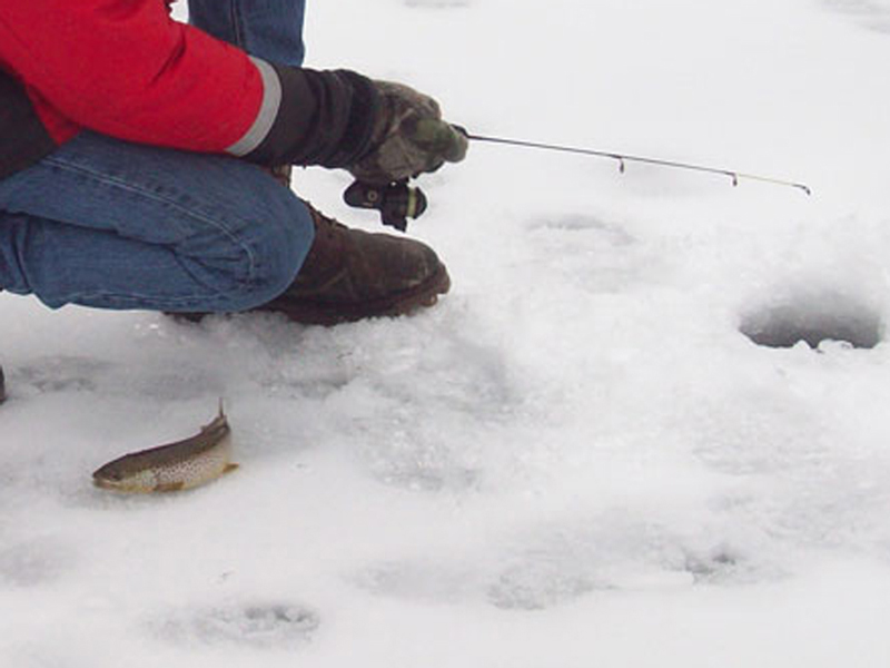 ice fishing with spoons for rainbow trout