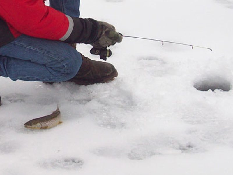 Kids Catching Big Rainbow Trout on Spoons 