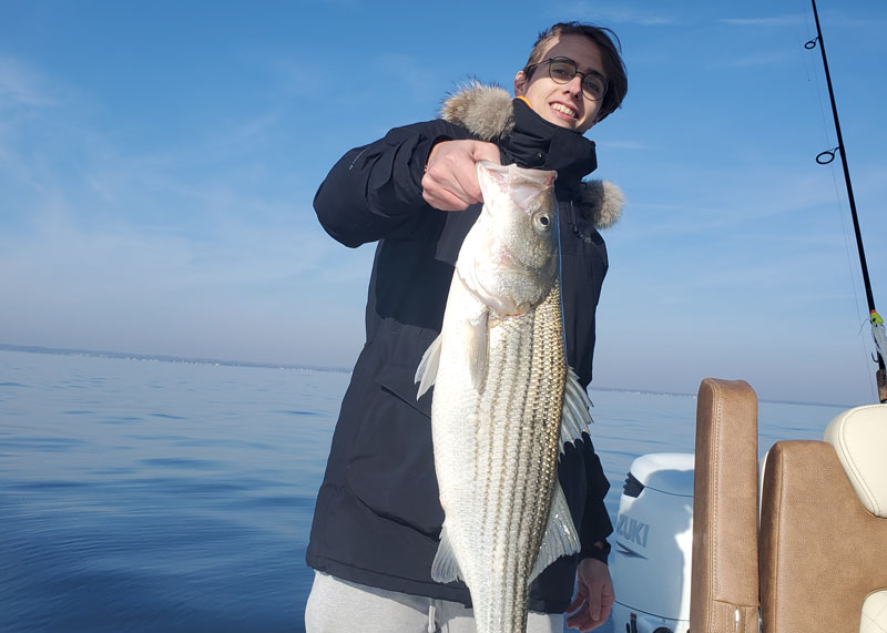 Jigging Up Fall Stripers - The Fisherman