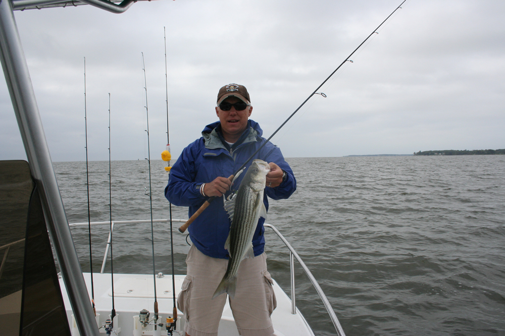 striper jigging during summer