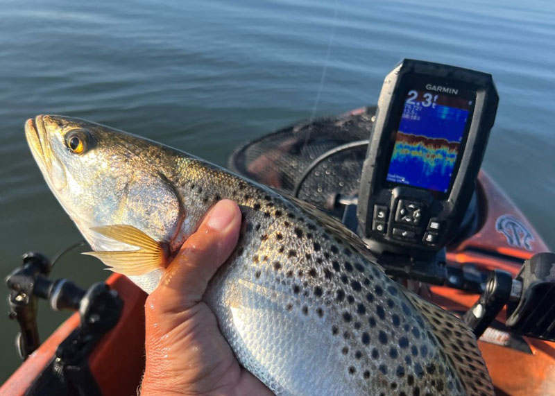 speckled sea trout kayak fishing