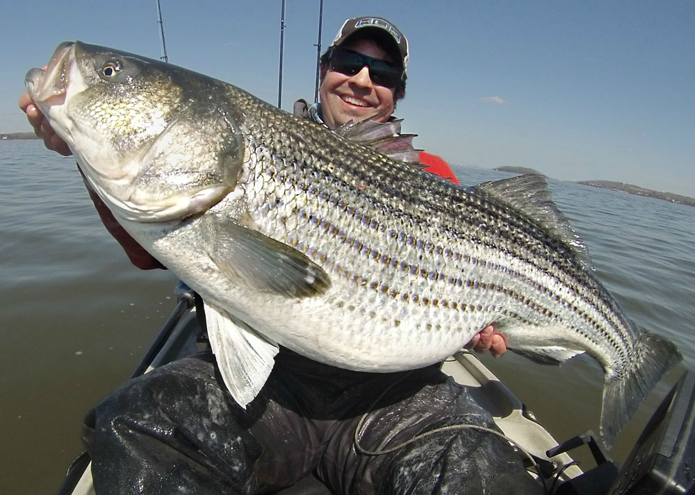 fishing for striped bass from a kayak