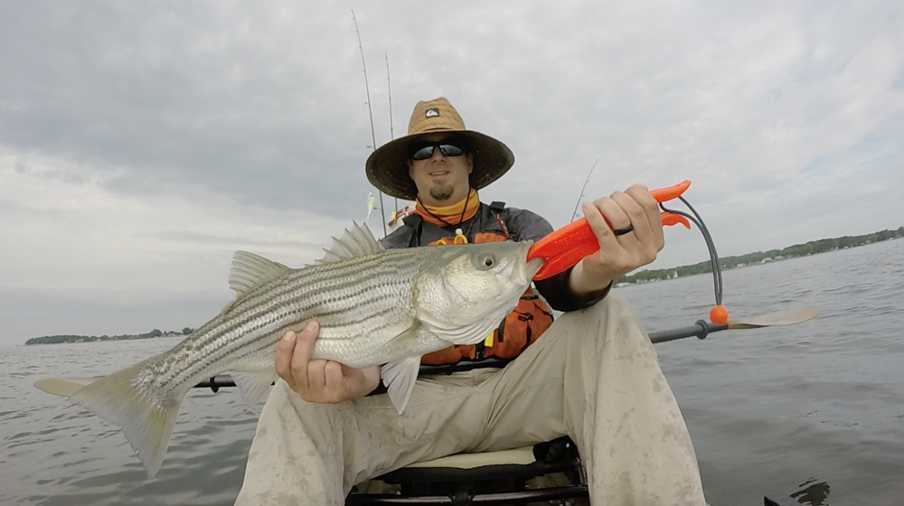 fishing for striper on kayak