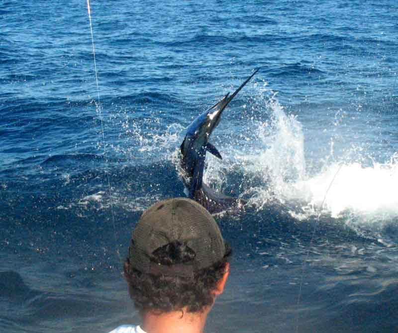 Keys to Offshore Fishing Success on the Troll