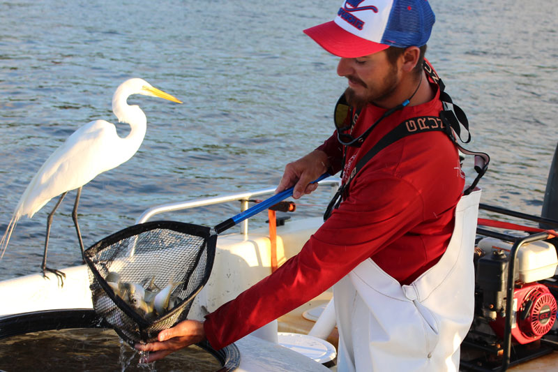 Bait-Rigging with a Bucket