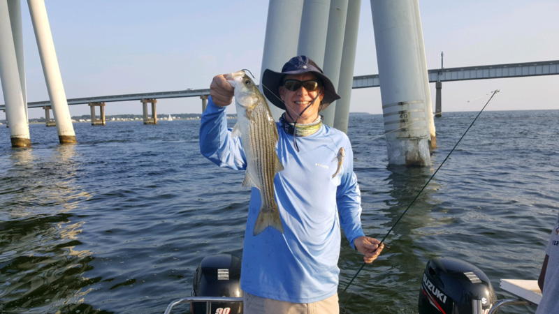 little rockfish caught at the chesapeake bay bridge