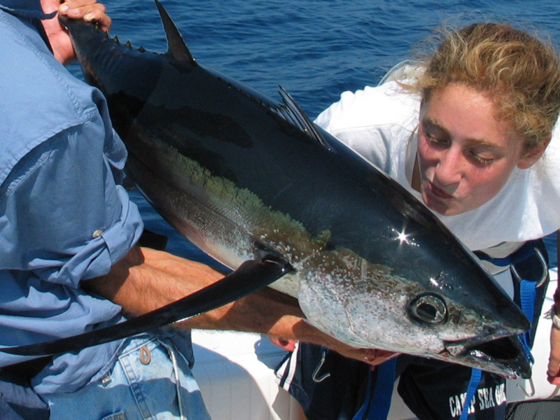 albacore tuna getting a kiss