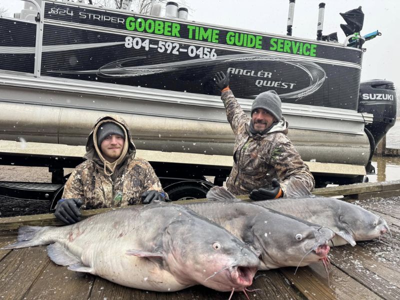 blue catfish fishing chesapeake bay james river