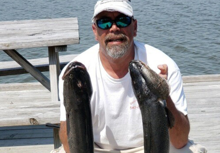snakeheads in the potomac river