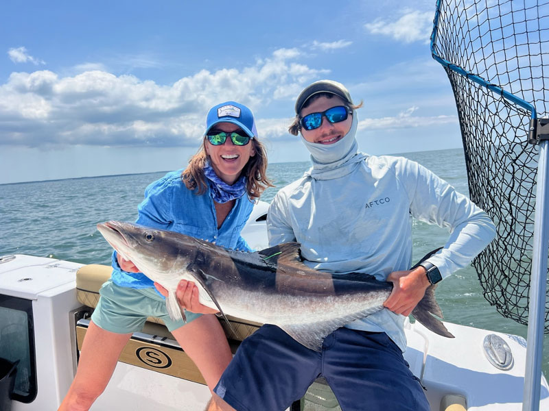 lower bay cobia fishing