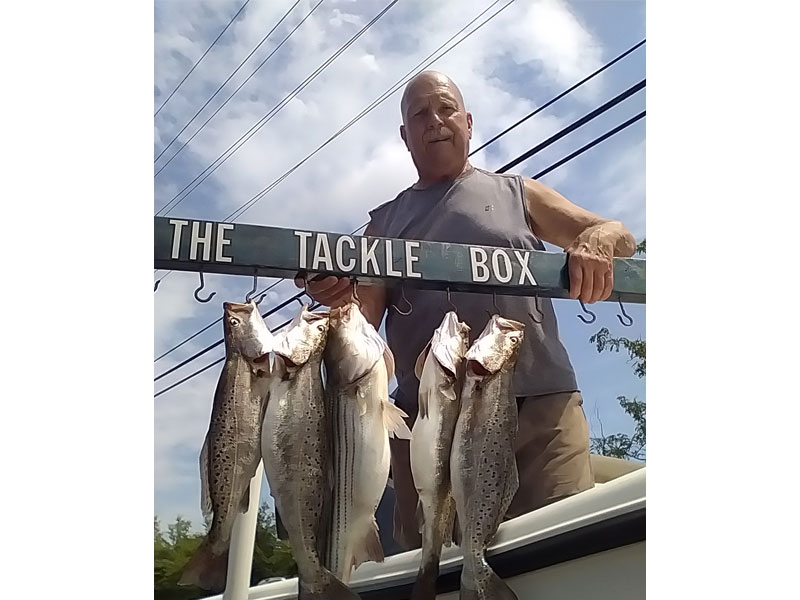 Lower Chesapeake Bay Fishing Report, June 2023